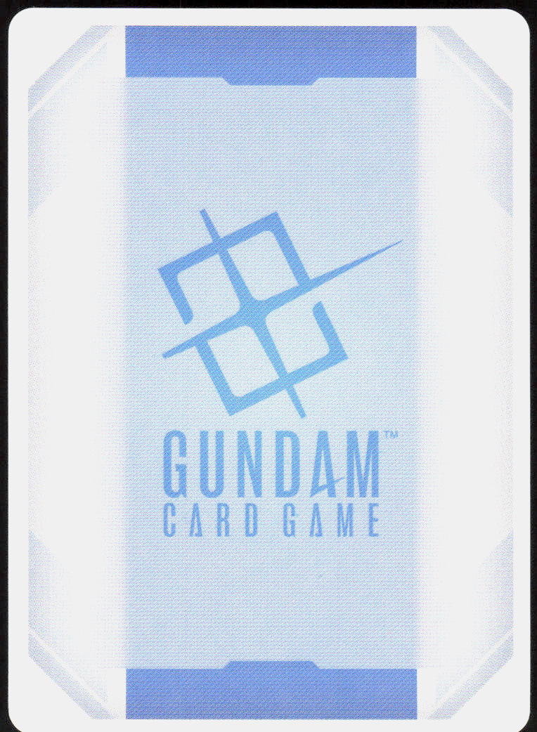 GN Armor Type-D (Trans-Am) (Back)