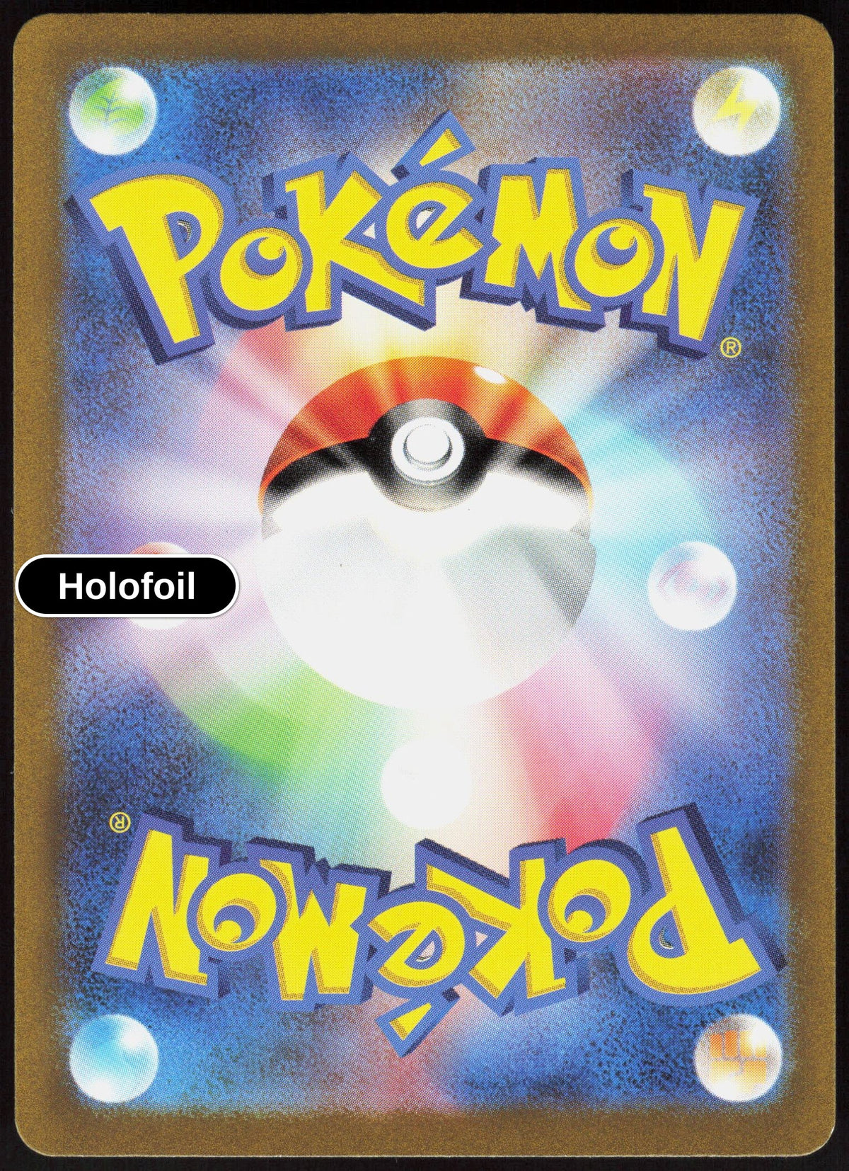 Blastoise ex - 202/165 (Back)