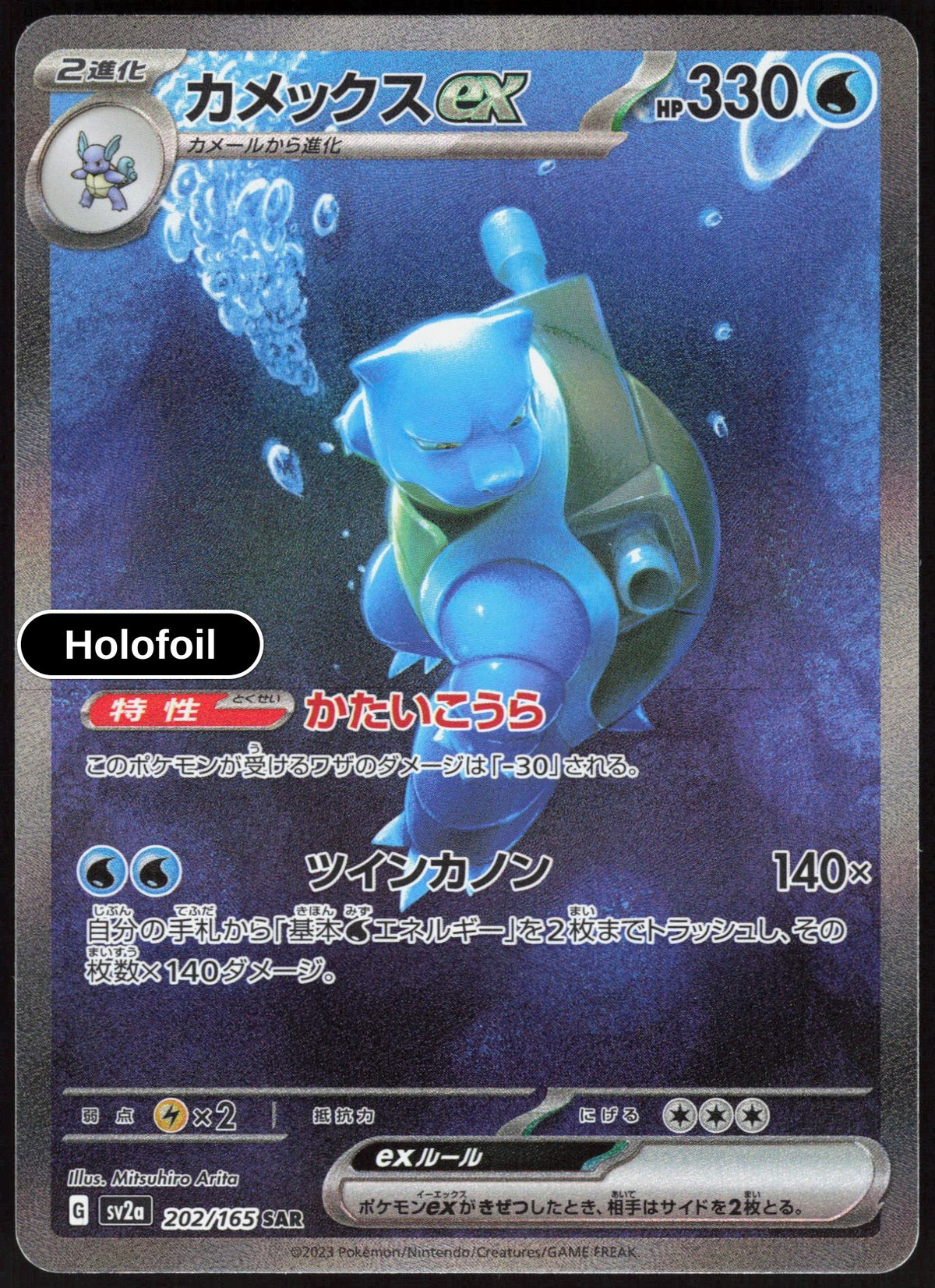 Blastoise ex - 202/165