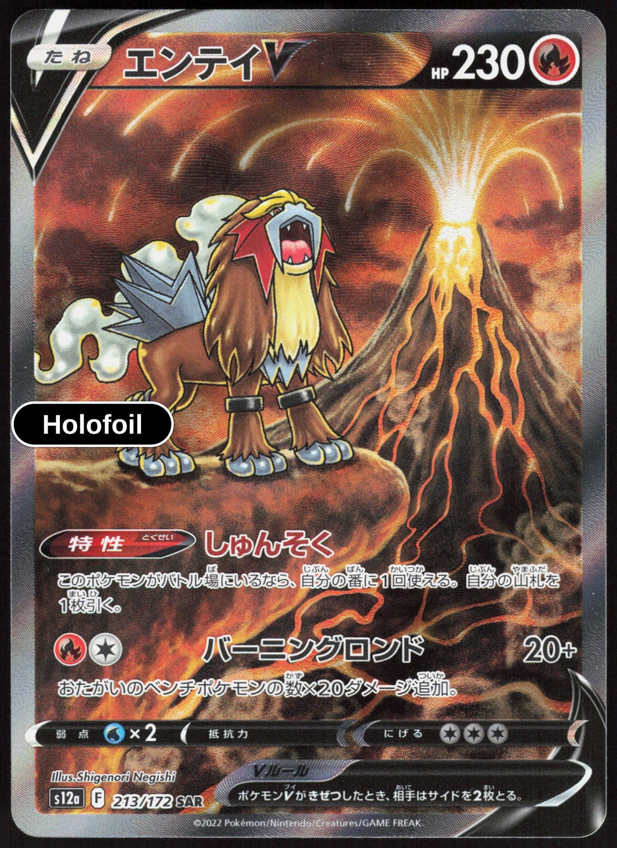 Entei V - 213/172