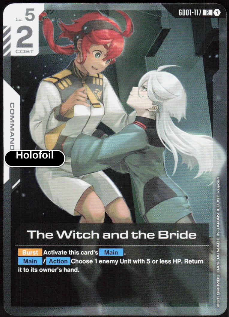 The Witch and the Bride