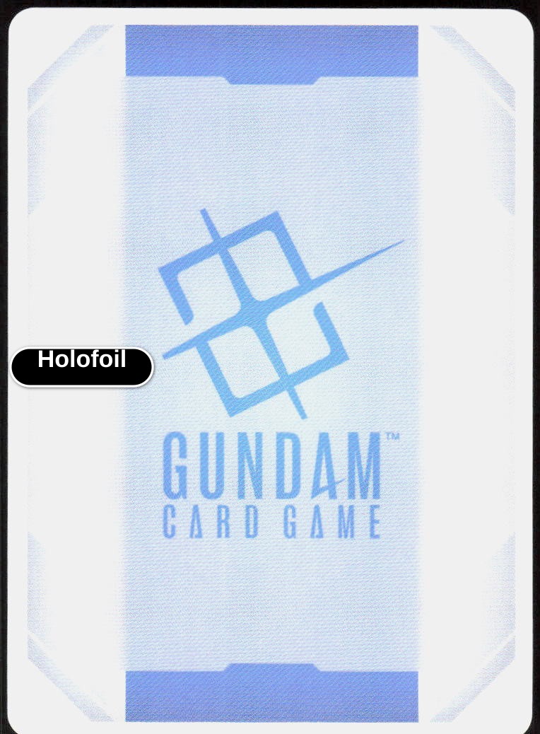 Forbidden Gundam (Back)