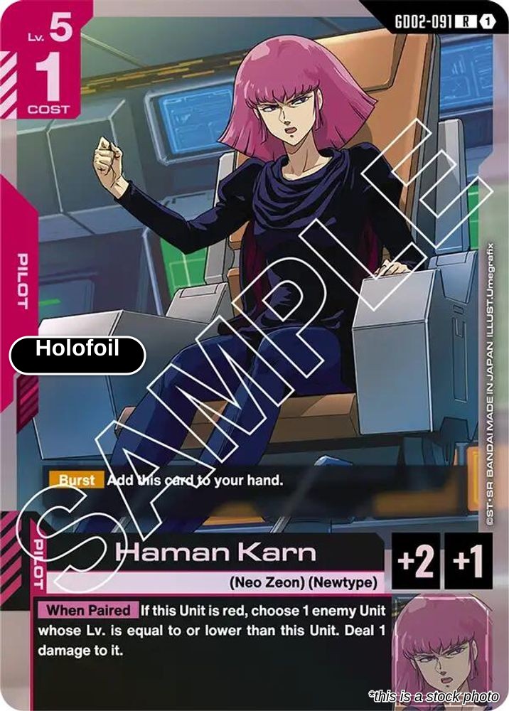 Haman Karn