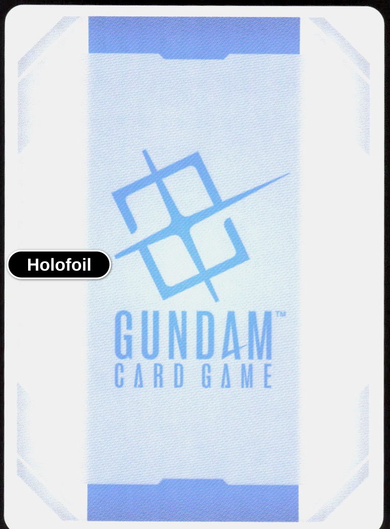 Destiny Gundam (Back)