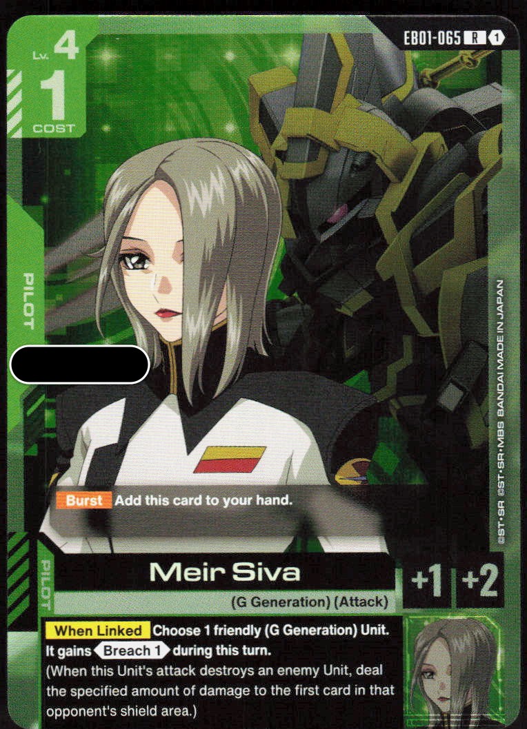 Meir Siva