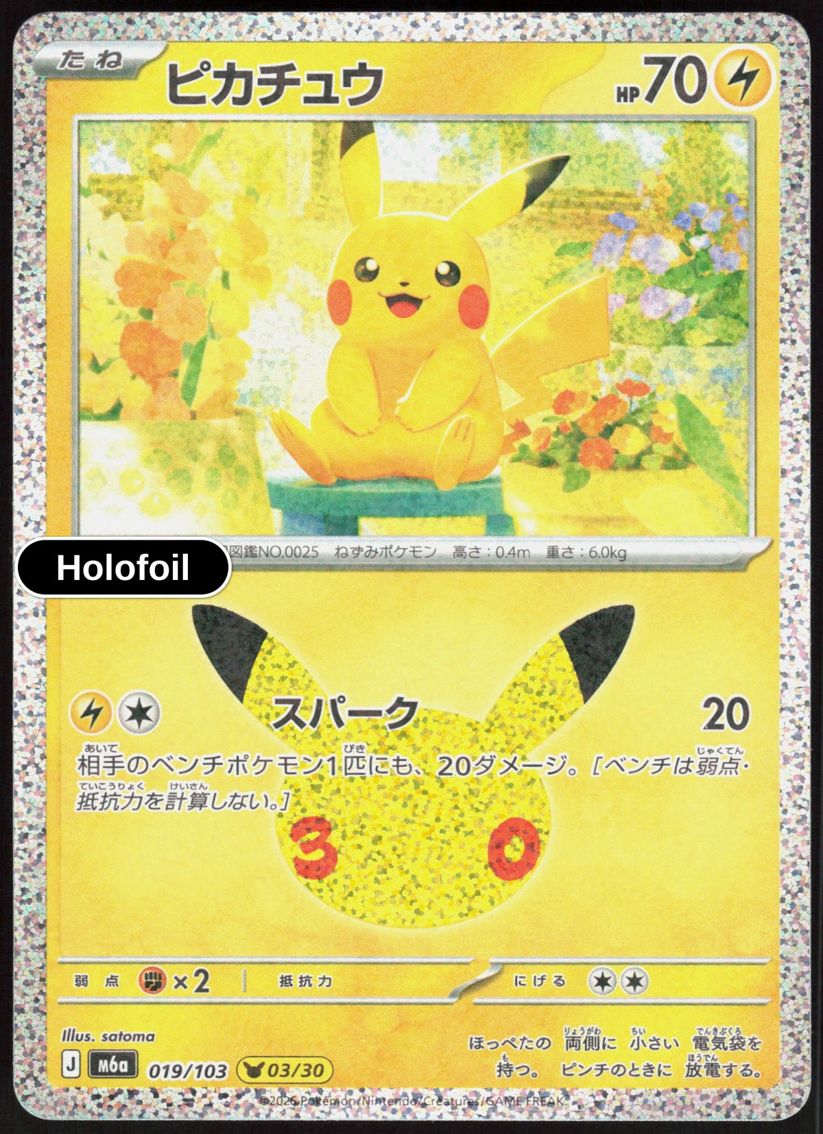 Pikachu - 019/103
