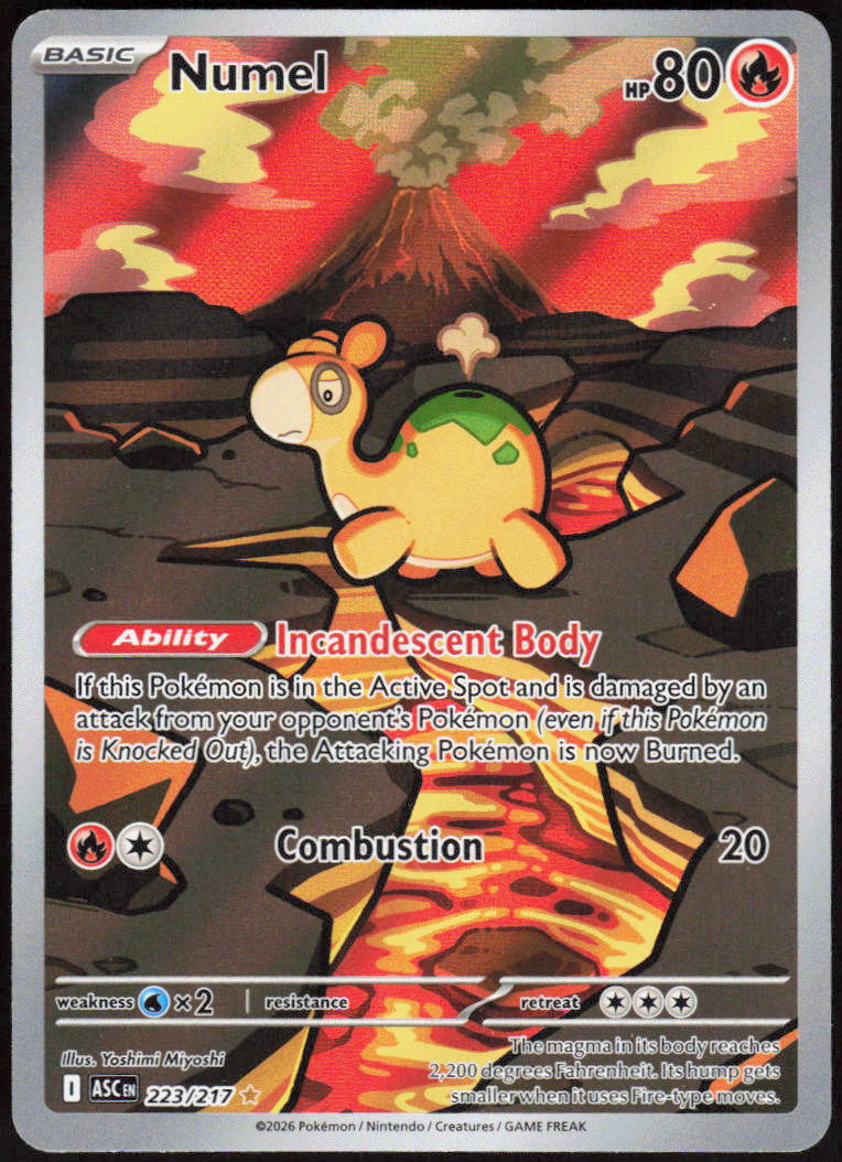 Numel - 223/217