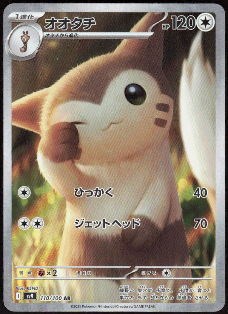 Furret - 110/100