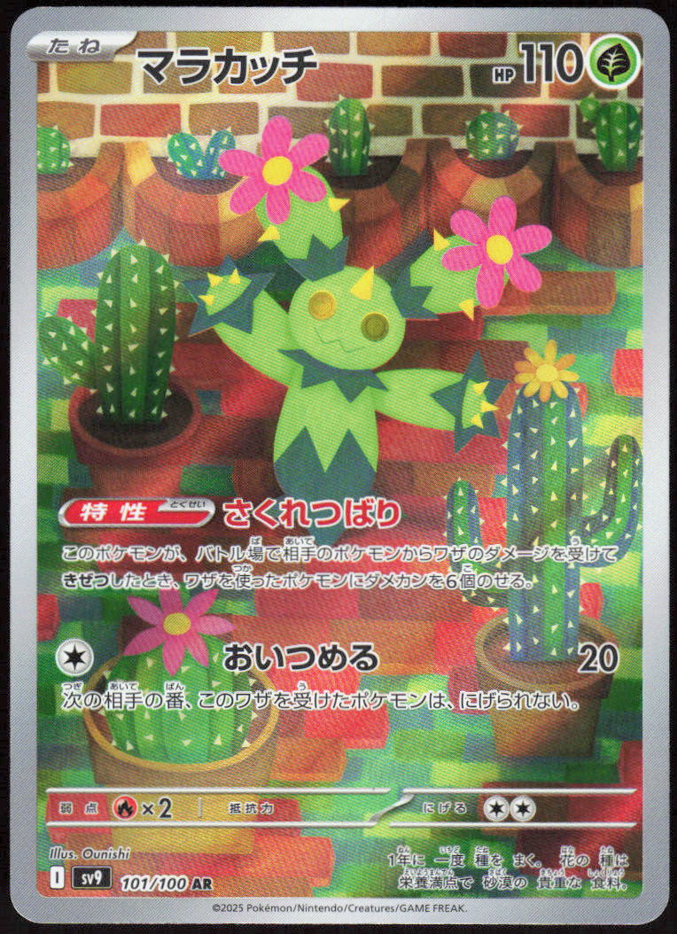 Maractus - 101/100