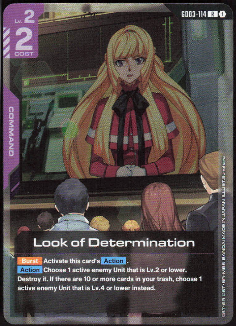 Look of Determination
