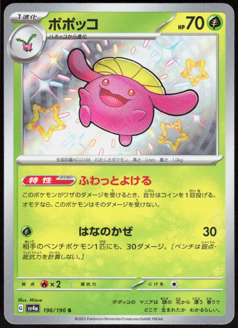 Skiploom - 196/190